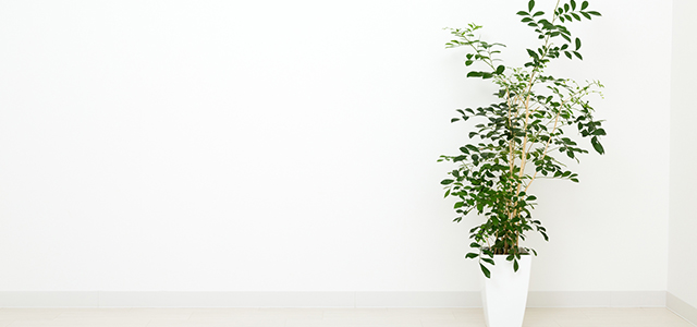 クロス再生とはイメージ